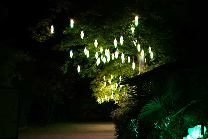 Amnéville Zoo Tagesticket GetYourGuide