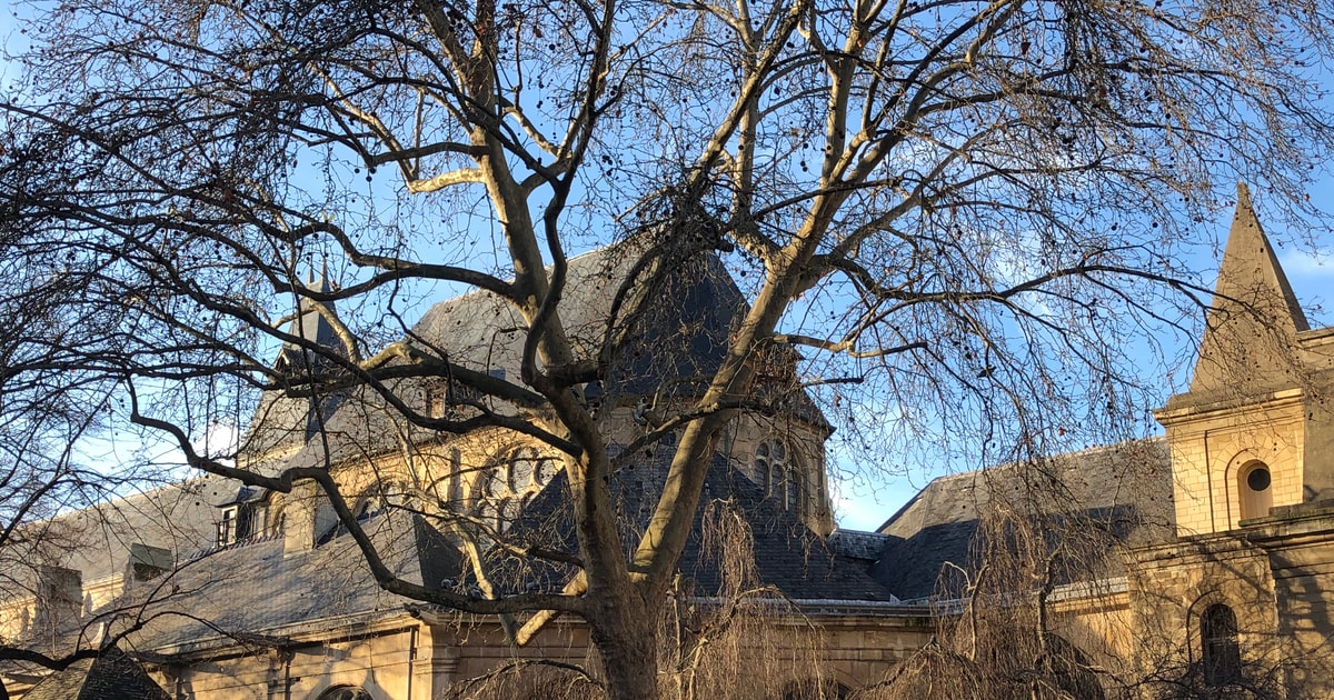 Paris Latin Quarter Walking Tour with Wine Tastings GetYourGuide