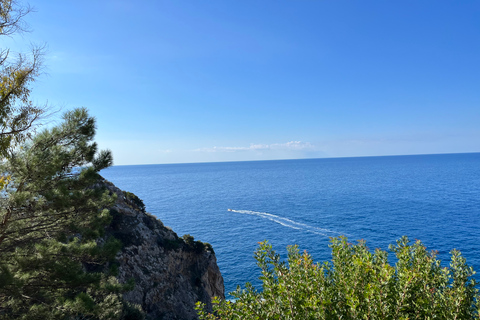 Corfú: recorrido por Palaiokastritsa, la isla de los ratones y el casco antiguoTour privado