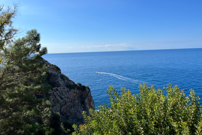 Corfù: Palaiokastritsa, Isola dei topi e tour della città vecchiatour privato