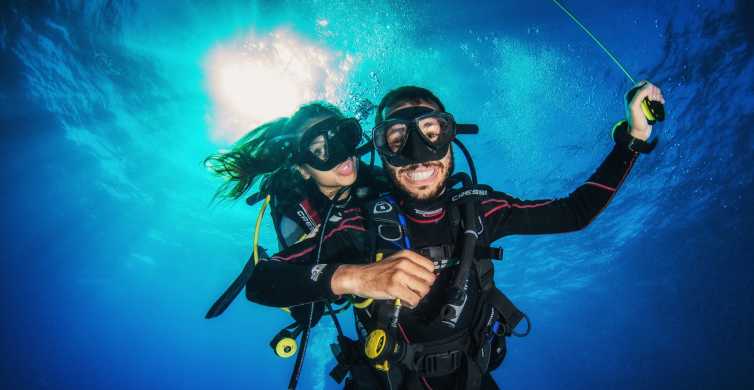 The BEST Playa del Carmen Diving 2023 FREE Cancellation GetYourGuide