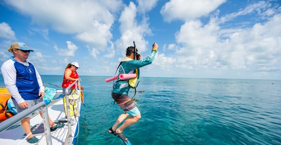 Key West: Afternoon Reef Snorkel Tour with Open Bar