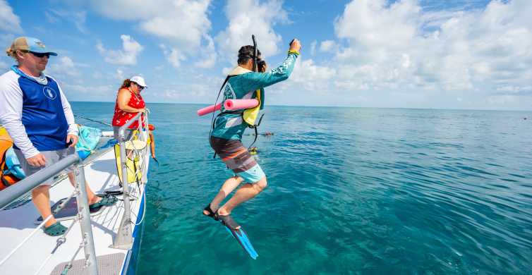 Key West: 3-Hour Coral Reef Snorkeling