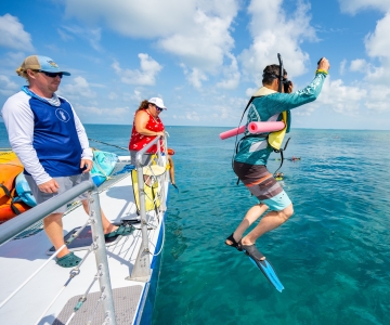 Key West: 3-stündiges Schnorcheln am Korallenriff