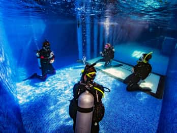 Descubre el buceo en Playa del Carmen: 2 inmersiones.
