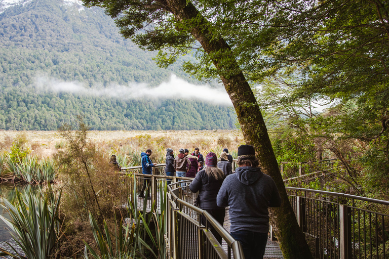 Milford Sound: Premium Small Group Tour from Queenstown From Queenstown: Small Group Tour with Glass Roof