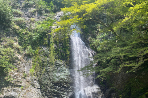 Osaka: Tour privato di spada - Allenati da un gran maestro