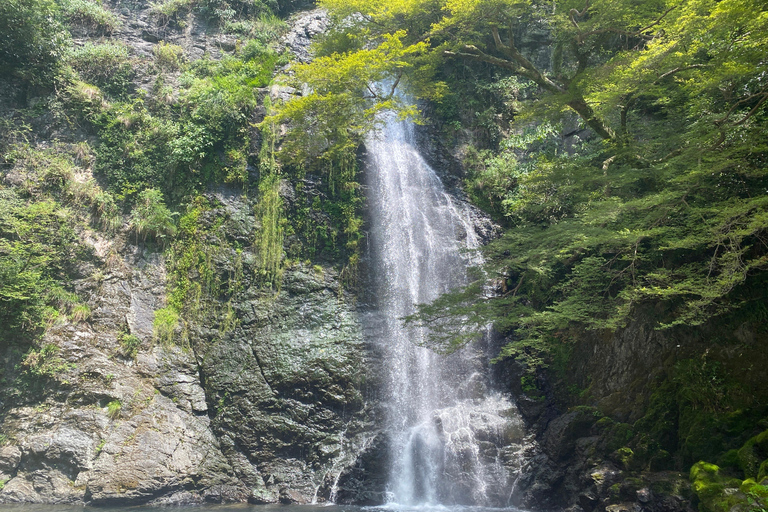 Osaka: Swordsmanship Private Tour - Trained by a grandmaster