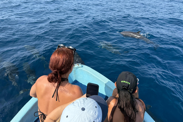Puerto Escondido: Bootstour zu Delfinen und MeerestierenPrivate Tour