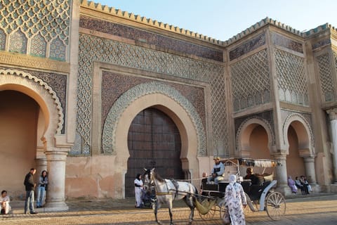 Fes: Day Trip to Meknes Volubilis and Moulay Idriss