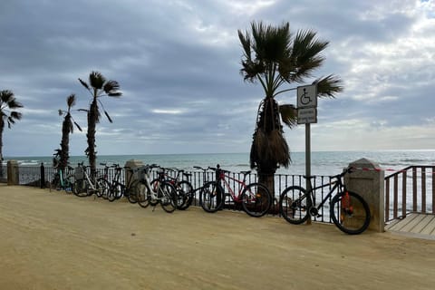 Estepona: Discover Estepona Guided Bike Tour