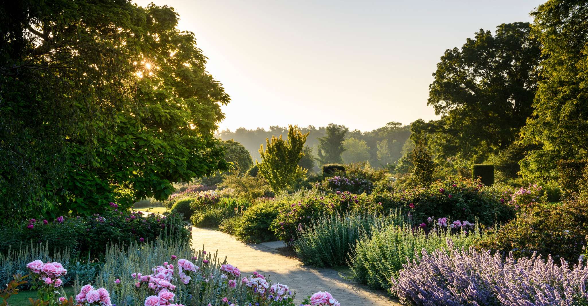 Woking, Royal Horticultural Society Wisley Garden Ticket - Housity