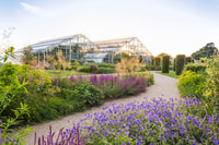 Woking, Royal Horticultural Society Wisley Garden Ticket - Housity