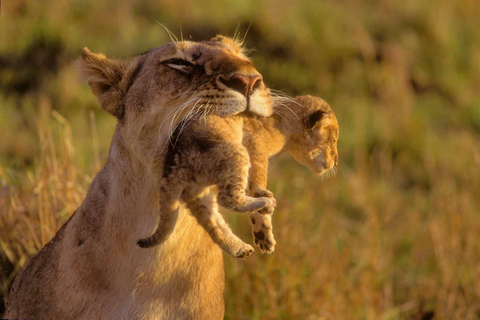 Nairobi: National Park Game Drive i Beads Center TourOpłaty za parkowanie wyłączone