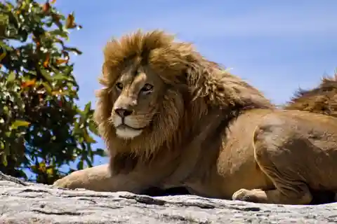 Nairobi: National Park Game Drive and Beads Center Tour