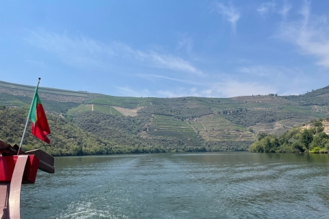 Desde Oporto: cata de vinos guiada en el valle del Duero con almuerzo