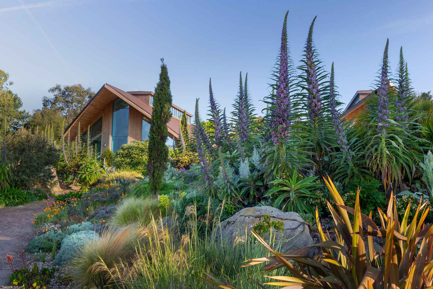 Royal Horticultural Society: Hyde Hall Garden Ticket