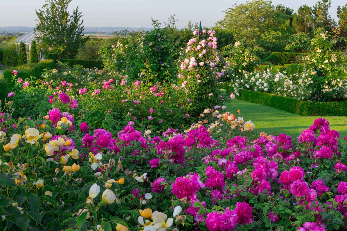 Royal Horticultural Society: Hyde Hall Garden Ticket