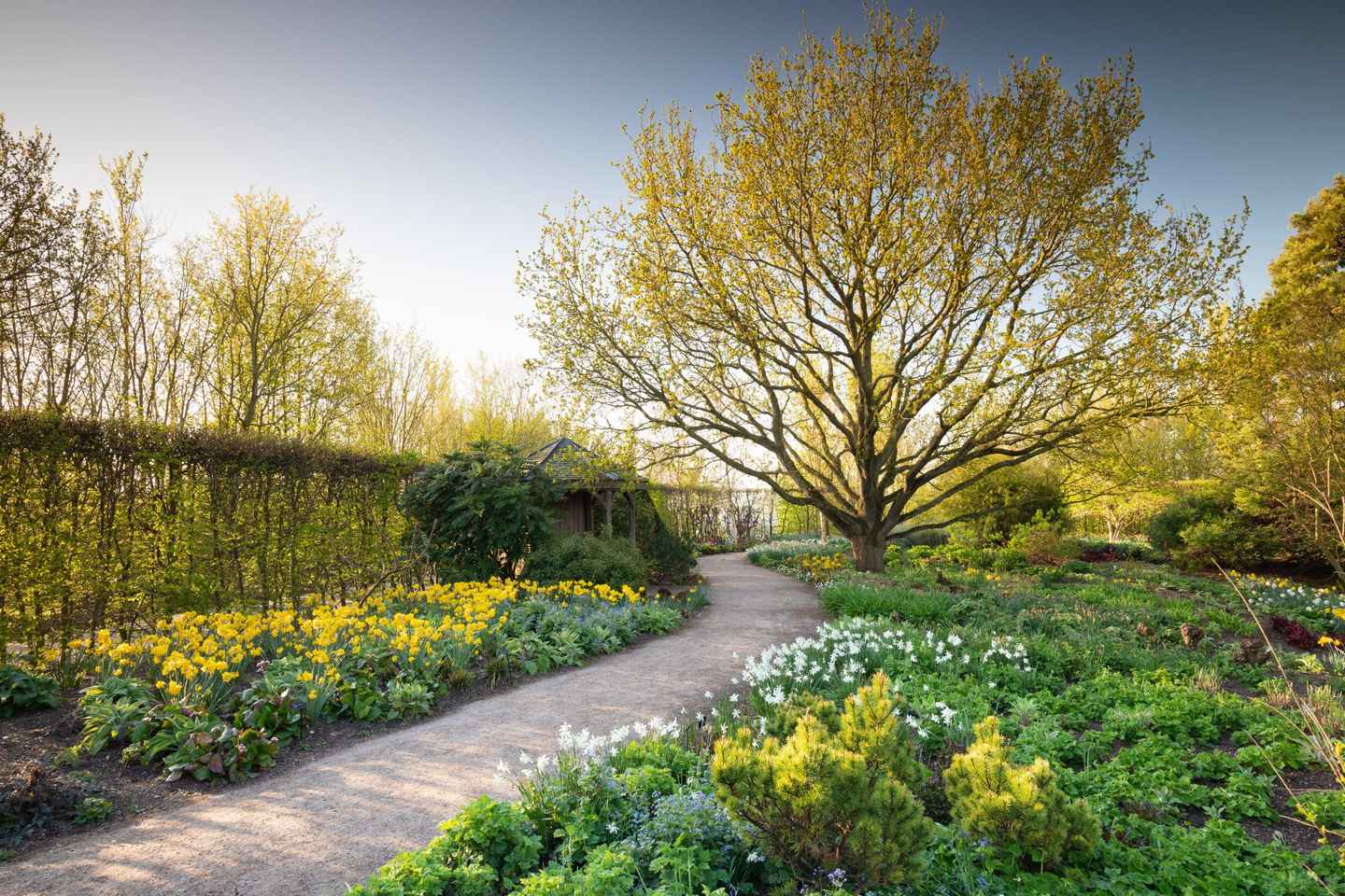 Royal Horticultural Society: Hyde Hall Garden Ticket