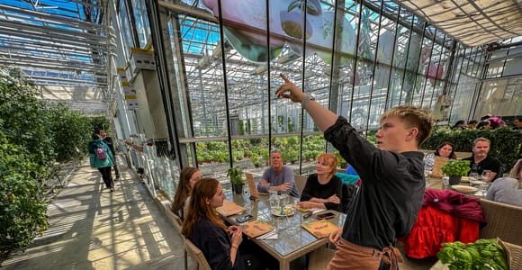 Golden Circle & Lunch at Fridheimar Tomato Farm- with photos