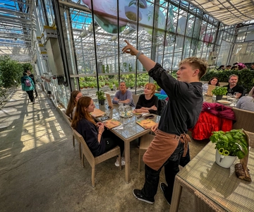 Golden Circle & Lunch på Fridheimar Tomatodling- med bilder