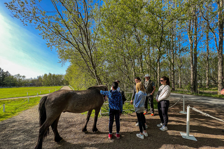 Golden Circle & Lunch at Fridheimar Tomato Farm- with photos