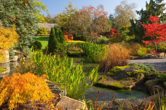 Visit Royal Horticultural Society Harlow Carr Garden Ticket in Harrogate