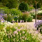 Bridgewater: biglietto per il giardino della Royal Horticultural Society