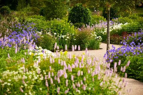 Bridgewater: Royal Horticultural Society Havebillet