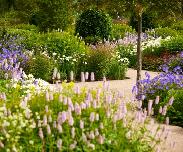 Bridgewater: Royal Horticultural Society Garden Ticket
