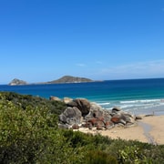 From Melbourne: Wilsons Promontory Wilderness Tour