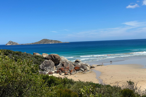 De Melbourne: Excursão ao Wilsons Promontory Wilderness