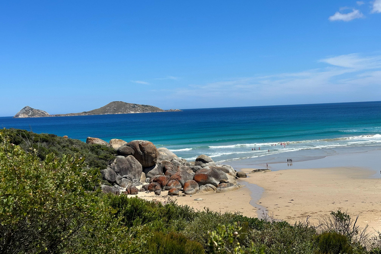 De Melbourne: Excursão ao Wilsons Promontory Wilderness