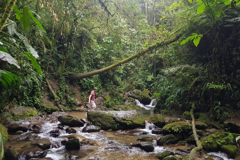 Desde Medellín: tour guiado de senderismo en la naturaleza