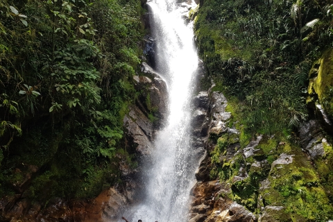 De Medellin: randonnée guidée dans la nature