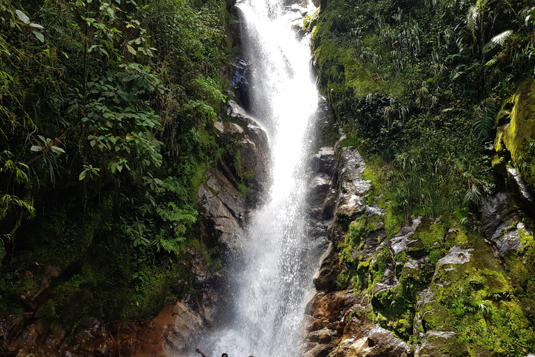 Dalle cascate di Medellin: Tour guidato a piedi nella naturaDa Medellin: escursione guidata nella natura