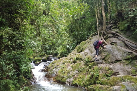 Von Medellin aus: Geführte Wandertour in der Natur