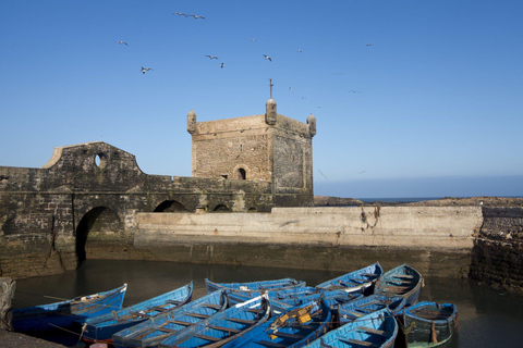 De Agadir ou Taghazout: Viagem de 1 dia a Essaouira com transferViagem a partir de Taghazout