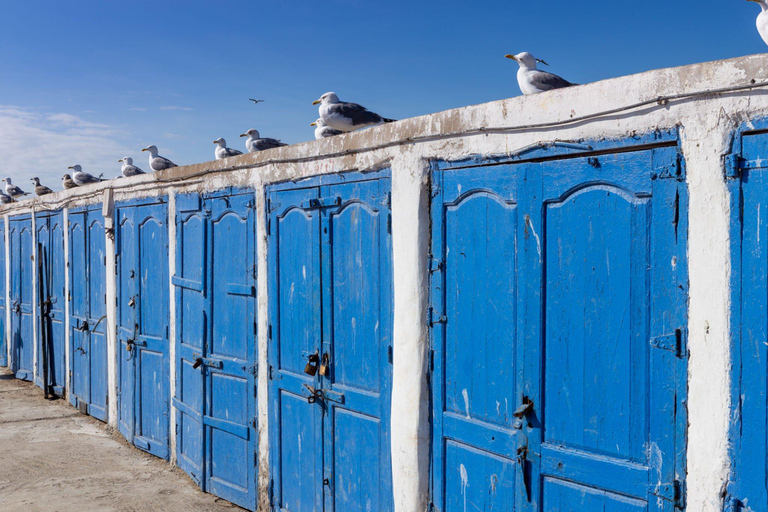 Från Agadir eller Taghazout: Essaouira dagsutflykt med transferTur från Taghazout