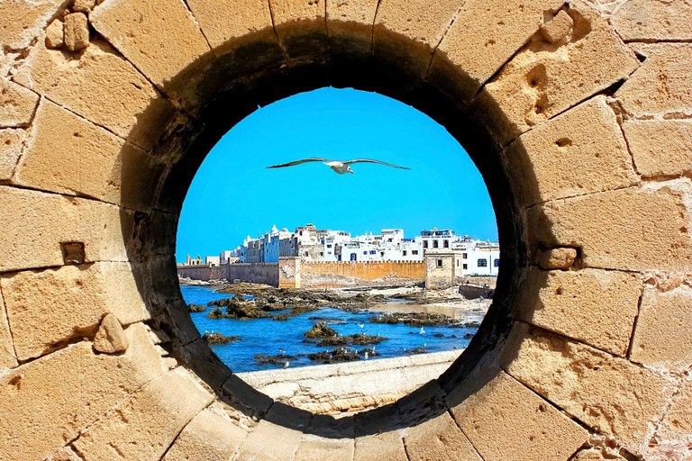 Vanuit Agadir of Taghazout: Dagtrip Essaouira met TransferExcursie vanuit Agadir