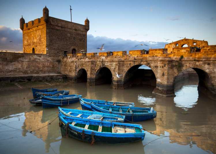 From Agadir or Taghazout: Essaouira Day Trip with Transfer