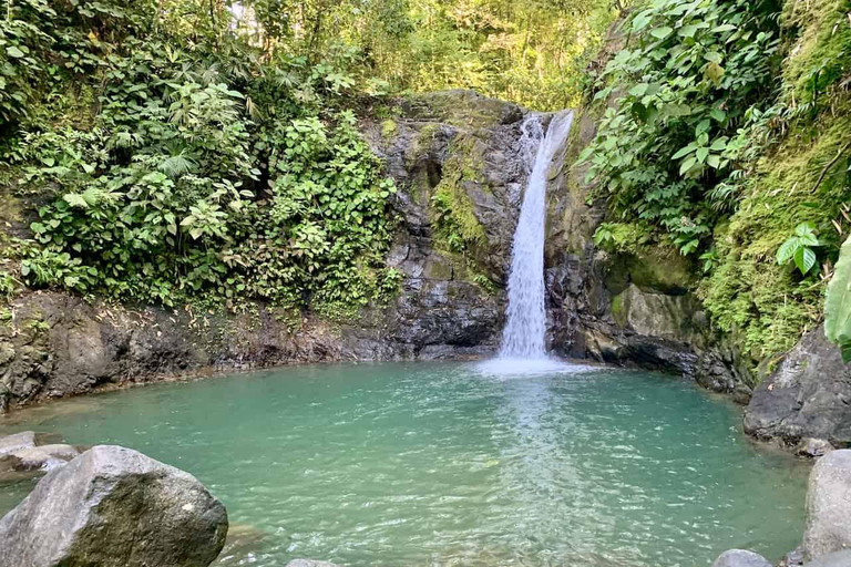 COSTA RICA:UPPTÄCK COSTARICAS VILDA DJUR-STRAND &amp; SKOG 2VECKOR