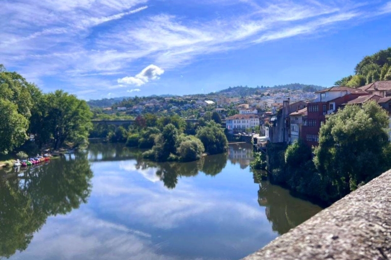 Desde Oporto: cata de vinos guiada en el valle del Duero con almuerzo