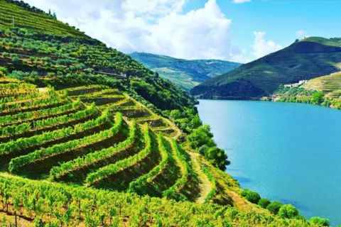 From Porto: Guided Douro Valley Wine Tasting with Lunch