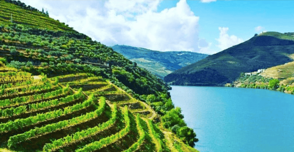 Porto: Douro Valley Tour mit 3 Verkostungen, Mittagessen & Opt. Kreuzfahrt