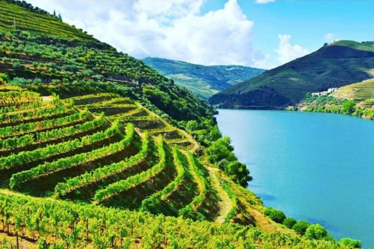 Von Porto aus: Geführte Weinverkostung im Douro-Tal mit Mittagessen
