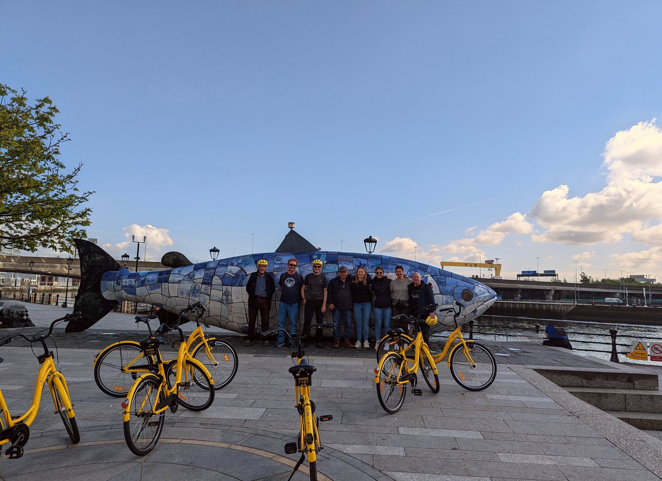 Belfast: Byens højdepunkter cykeltur