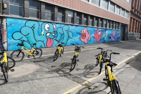 Belfast: fietstocht door de stad
