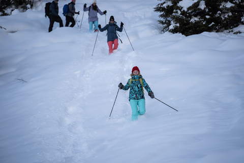 From Interlaken: Guided Snowshoe Tour around Isenfluh Interlaken: Guided Snowshoe Tour around Isenfluh