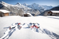 Von Interlaken, geführte Schneeschuhtour durch Isenfluh - Hizvo